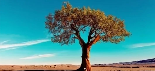 Cambiamento climatico estate 2023